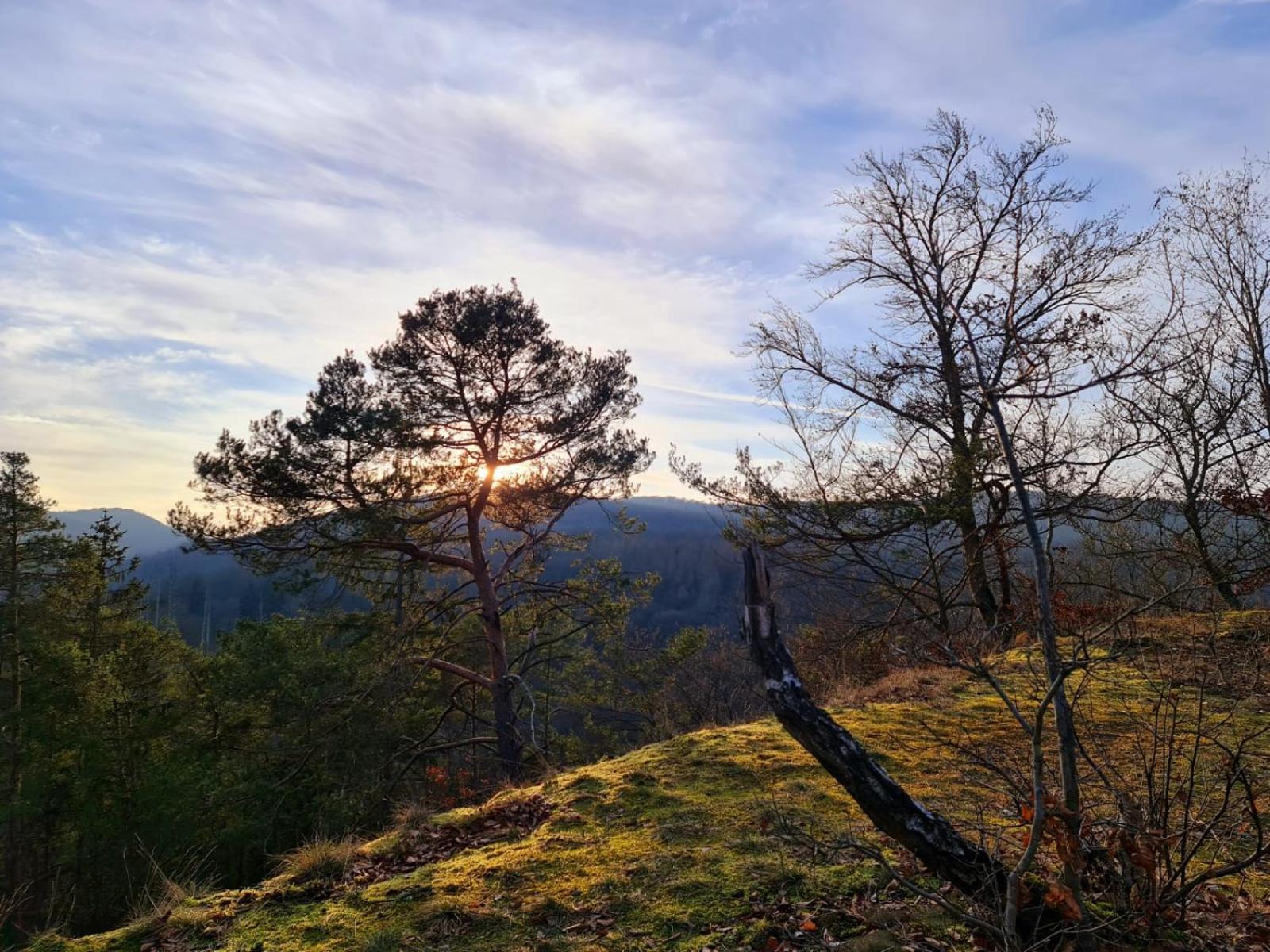 Ferienhaus Schoene Aussicht Ferienwohnung Rot Hemfurth-Edersee Εξωτερικό φωτογραφία